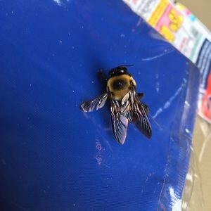 Meet your Posher, Mike